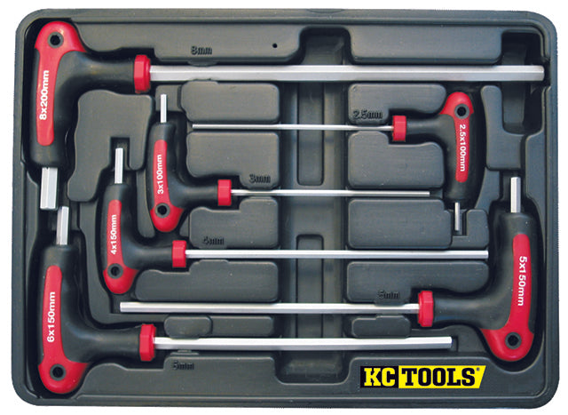 6 Piece T Handle Hex Key Set In Blow Moulded Case Metric