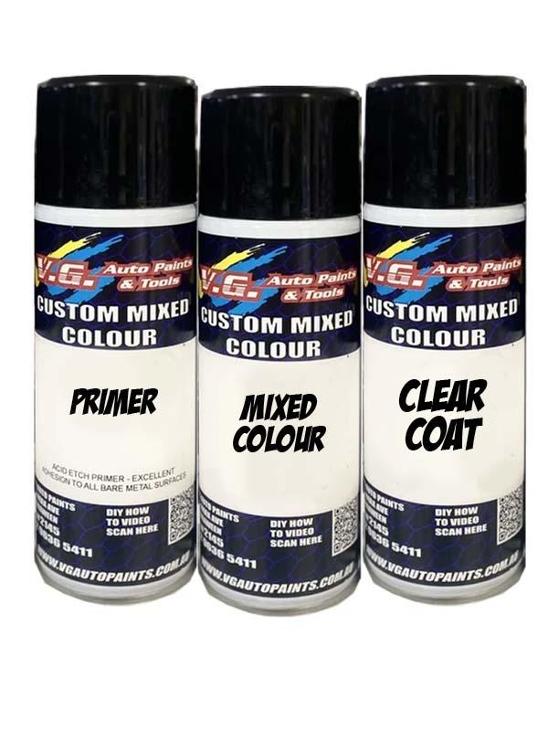 Blackout Spray Can Painting kit