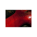 Gyeon Q2M Wetcoat 500mL